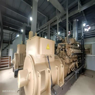 Aardgasgenerator van 1500 kW